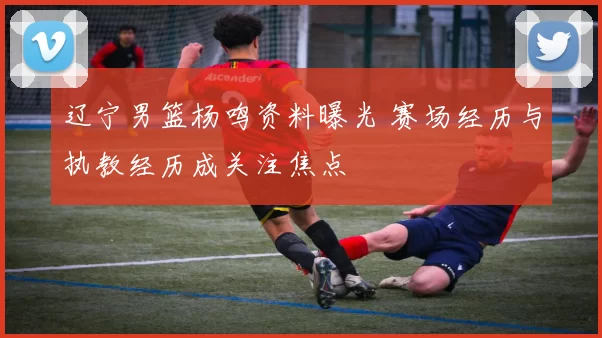 辽宁男篮杨鸣资料曝光 赛场经历与执教经历成关注焦点