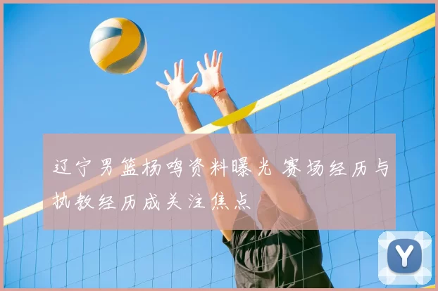 辽宁男篮杨鸣资料曝光 赛场经历与执教经历成关注焦点