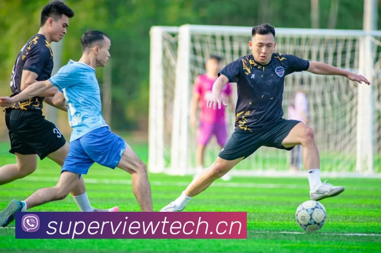 世界杯官方网络平台平台生态图